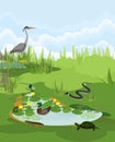 Pond biotope with different animals bird, reptile, amphibians Royalty Free Stock Photo